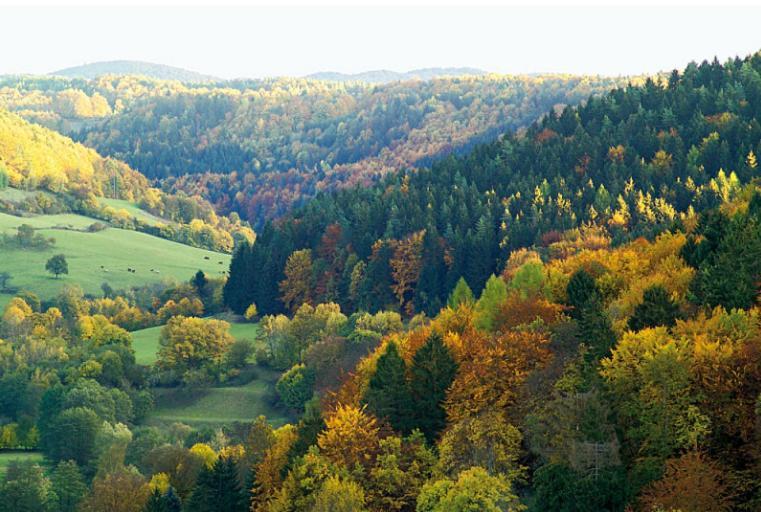 Hummelcasa Ferienhaus Bayreuth Pittersdorf Zewnętrze zdjęcie